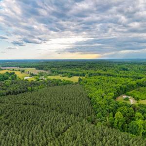 Photo #16 of West Creek Road, Crewe, VA 29.5 acres