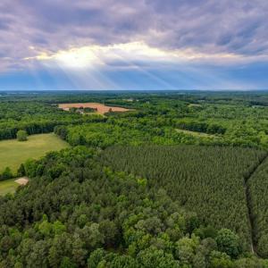 Photo #17 of West Creek Road, Crewe, VA 29.5 acres