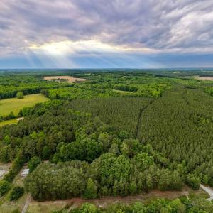 Photo #18 of West Creek Road, Crewe, VA 29.5 acres