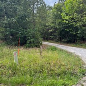 Photo #5 of West Creek Road, Crewe, VA 29.5 acres