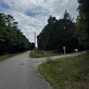 Photo #6 of West Creek Road, Crewe, VA 29.5 acres