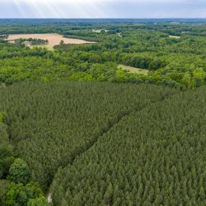 Photo #7 of West Creek Road, Crewe, VA 29.5 acres