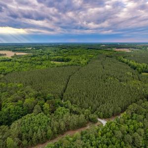 Photo #8 of West Creek Road, Crewe, VA 29.5 acres