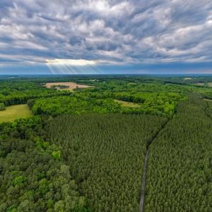 Photo #9 of West Creek Road, Crewe, VA 29.5 acres