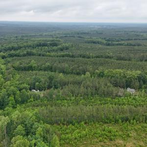 Photo #3 of Cumberland Road, Cumberland, VA 13.0 acres