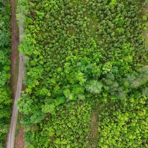 Photo #5 of Cumberland Road, Cumberland, VA 13.0 acres