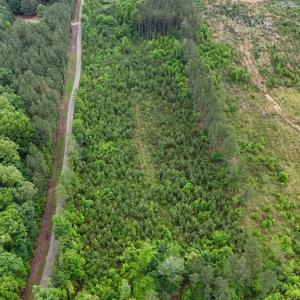Photo #6 of Cumberland Road, Cumberland, VA 13.0 acres