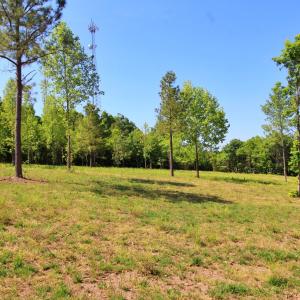 Photo #10 of Tower Hill Rd, Appomattox, VA 16.0 acres