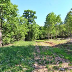 Photo #11 of Tower Hill Rd, Appomattox, VA 16.0 acres