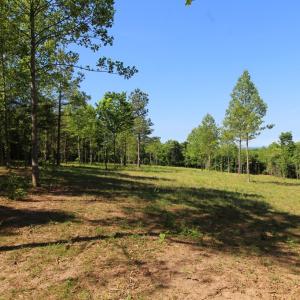 Photo #2 of Tower Hill Rd, Appomattox, VA 16.0 acres