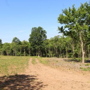 Photo #3 of Tower Hill Rd, Appomattox, VA 16.0 acres