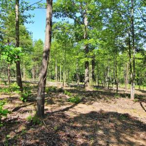 Photo #4 of Tower Hill Rd, Appomattox, VA 16.0 acres