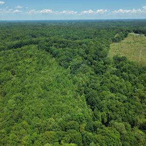 Photo #4 of 00 Manor House Dr., Farmville, VA 777.5 acres