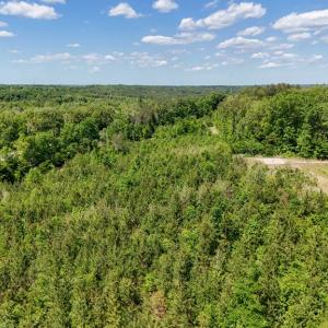 Photo #20 of Old Ridge Rd, Farmville, VA 18.0 acres