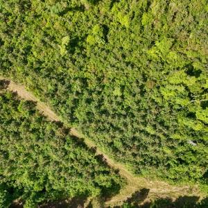 Photo #21 of Old Ridge Rd, Farmville, VA 18.0 acres
