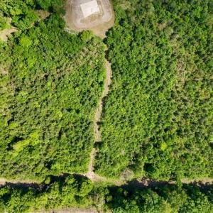 Photo #26 of Old Ridge Rd, Farmville, VA 18.0 acres