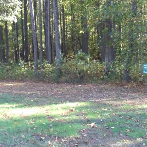Photo #2 of Lot 97 COVENTON LANE, HORNTOWN, VA 5.1 acres