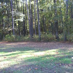 Photo #3 of Lot 97 COVENTON LANE, HORNTOWN, VA 5.1 acres