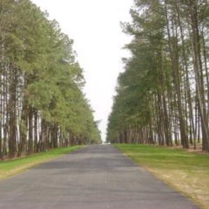 Photo #4 of Lot 97 COVENTON LANE, HORNTOWN, VA 5.1 acres