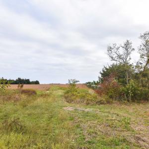 Photo #12 of lot 1A BELLEVUE CIR, ACCOMAC, VA 7.0 acres
