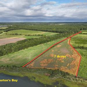Photo #17 of lot 1A BELLEVUE CIR, ACCOMAC, VA 7.0 acres