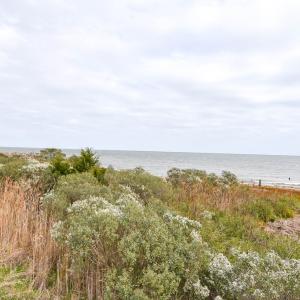 Photo #3 of lot 1A BELLEVUE CIR, ACCOMAC, VA 7.0 acres