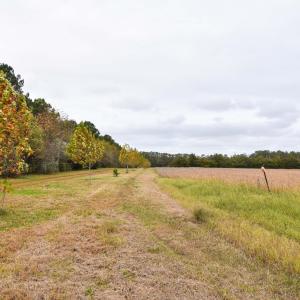 Photo #6 of lot 1A BELLEVUE CIR, ACCOMAC, VA 7.0 acres