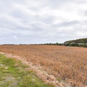 Photo #7 of lot 1A BELLEVUE CIR, ACCOMAC, VA 7.0 acres