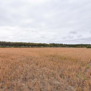 Photo #9 of lot 1A BELLEVUE CIR, ACCOMAC, VA 7.0 acres
