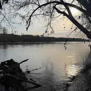 Photo #10 of Paynes Pond Road, Scottsville, VA 118.0 acres