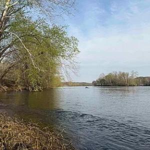 Photo #11 of Paynes Pond Road, Scottsville, VA 118.0 acres