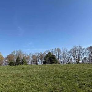 Photo #12 of Paynes Pond Road, Scottsville, VA 118.0 acres