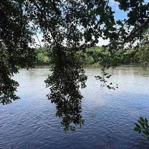 Photo #13 of Paynes Pond Road, Scottsville, VA 118.0 acres