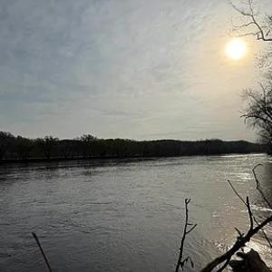Photo #14 of Paynes Pond Road, Scottsville, VA 118.0 acres