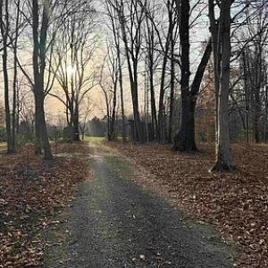Photo #15 of Paynes Pond Road, Scottsville, VA 118.0 acres