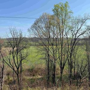 Photo #16 of Paynes Pond Road, Scottsville, VA 118.0 acres