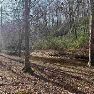 Photo #18 of Paynes Pond Road, Scottsville, VA 118.0 acres