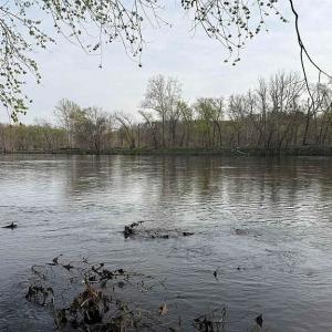 Photo #19 of Paynes Pond Road, Scottsville, VA 118.0 acres