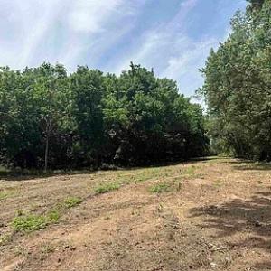 Photo #20 of Paynes Pond Road, Scottsville, VA 118.0 acres
