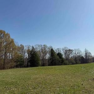 Photo #22 of Paynes Pond Road, Scottsville, VA 118.0 acres