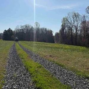 Photo #23 of Paynes Pond Road, Scottsville, VA 118.0 acres