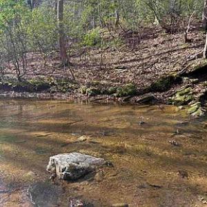 Photo #24 of Paynes Pond Road, Scottsville, VA 118.0 acres