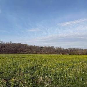 Photo #25 of Paynes Pond Road, Scottsville, VA 118.0 acres
