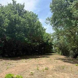 Photo #26 of Paynes Pond Road, Scottsville, VA 118.0 acres