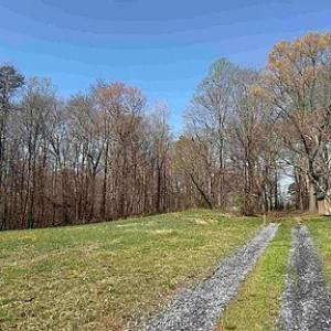 Photo #28 of Paynes Pond Road, Scottsville, VA 118.0 acres