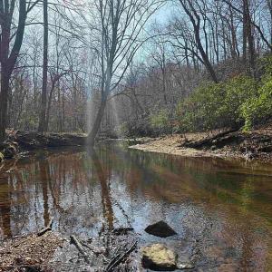Photo #3 of Paynes Pond Road, Scottsville, VA 118.0 acres