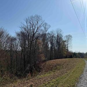 Photo #31 of Paynes Pond Road, Scottsville, VA 118.0 acres