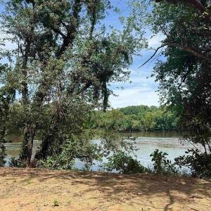 Photo #35 of Paynes Pond Road, Scottsville, VA 118.0 acres