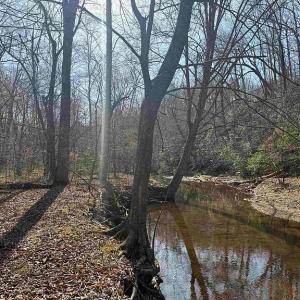 Photo #36 of Paynes Pond Road, Scottsville, VA 118.0 acres