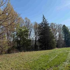 Photo #37 of Paynes Pond Road, Scottsville, VA 118.0 acres